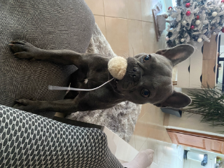 TEQUILA