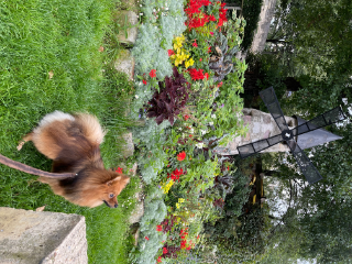 Léo