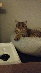 Tina