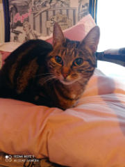 zoe