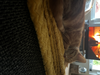 Marley