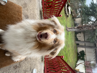 Doug