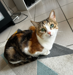 Mia
