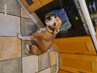 Laîco