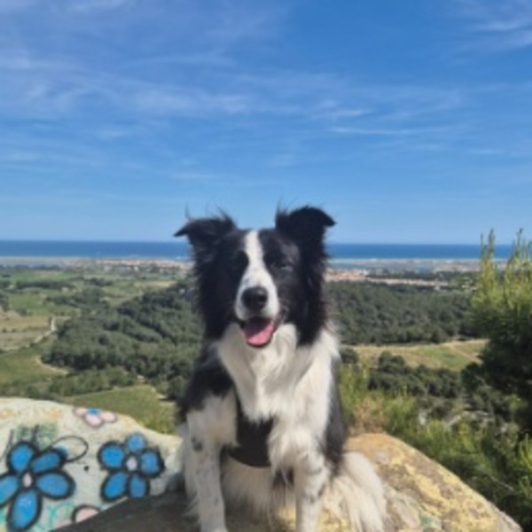 Urka