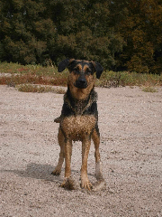 Roxie