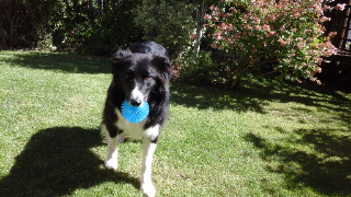Islay