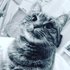 Minnie
