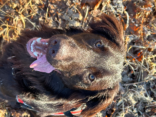Utah