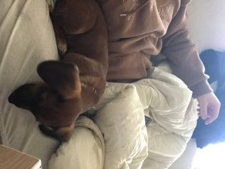 Coda