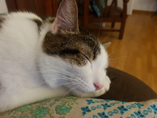 Marvin