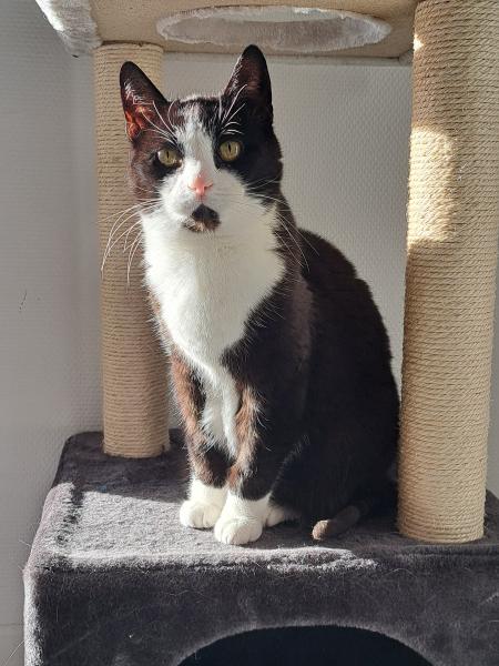 Lilou