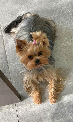 Roxy