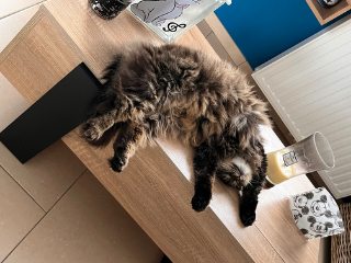 Lily