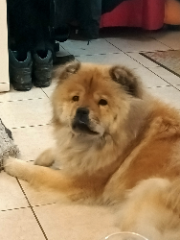 Milka