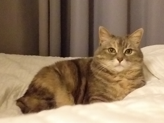 Kaïra