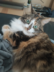 Nina