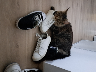 Ugur