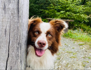 Charly