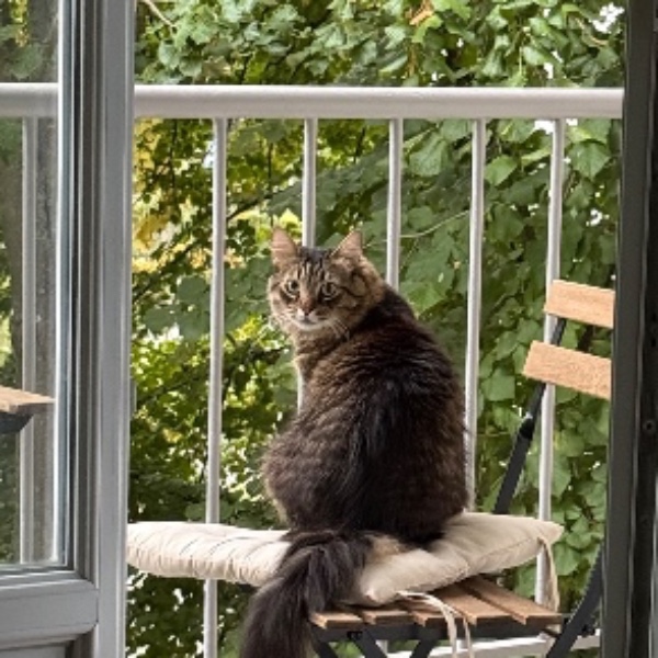 Titou