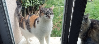 Louna