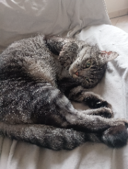 Kiki