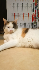 Mia