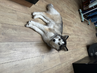 Luna