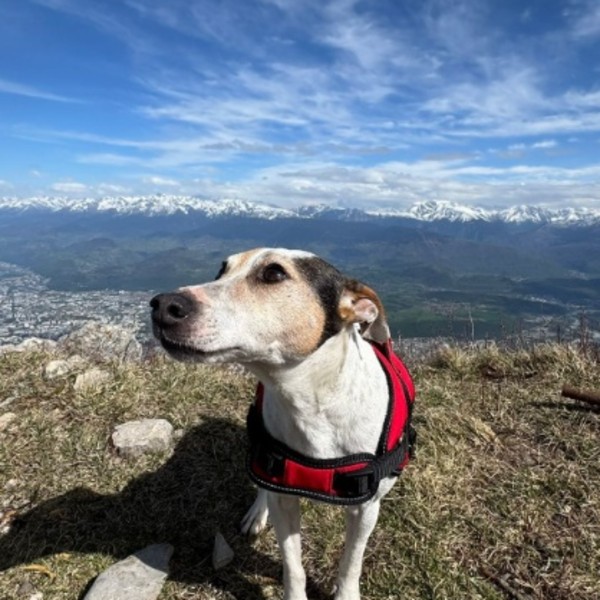 Largo