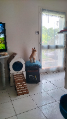 Nell