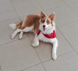 Ruby