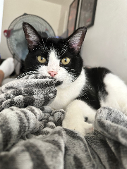 Mimi