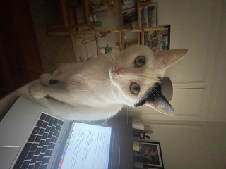 Milka
