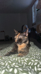 Kiara