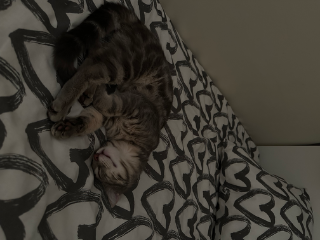 Tigrou