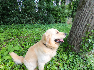 OSLO