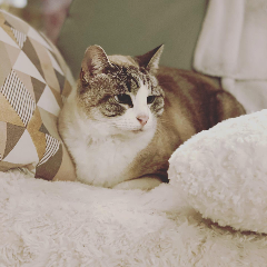 Lilou