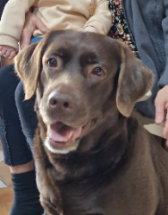 Murphy