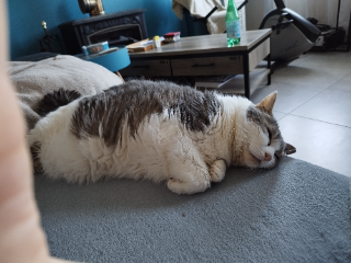 Lilou