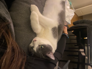 Charlie