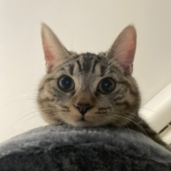 Luna