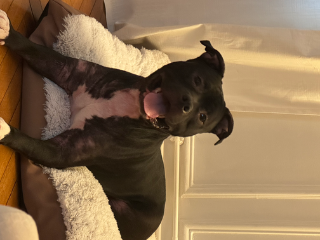 Capone