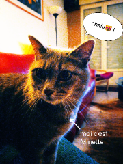 Minette