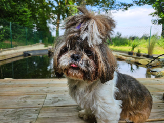 Molly