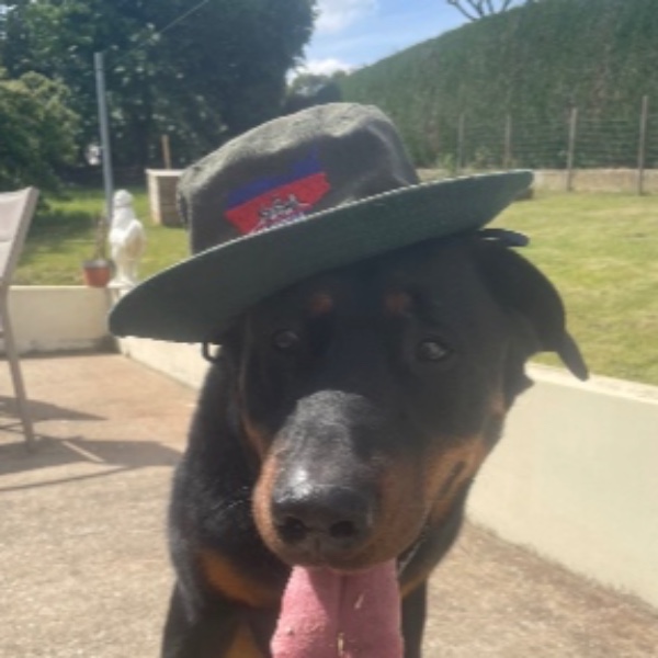 Pako