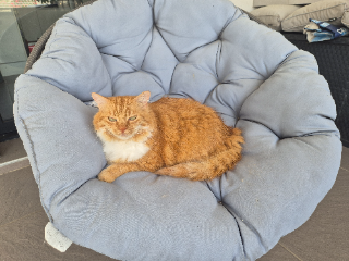 CARAMEL