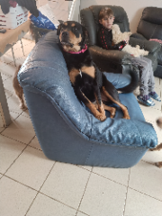 Mia