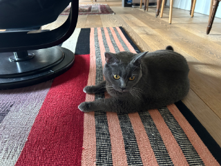 Miss Moneypenny