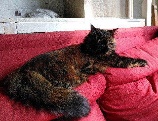 Muspell