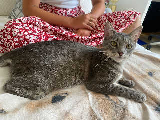Xena